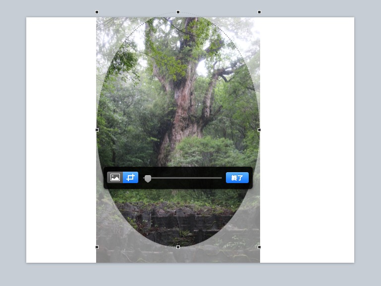 Keynoteで図形にマスク 丸などの形に切り取る する方法 Marikoさんの学ぶ日々